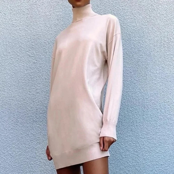 The Group by Babaton Aritzia NWT Camino Turtleneck Mini Dress in Camille Size S - Picture 1 of 10